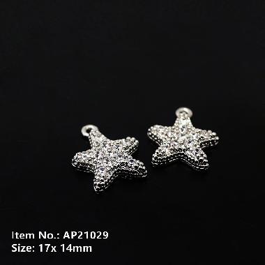 Accessories AP21029
