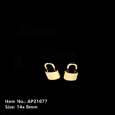 Accessories AP21077