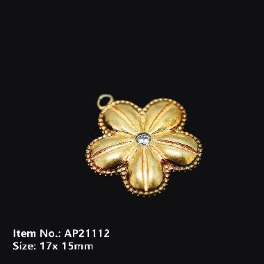Accessories AP21112