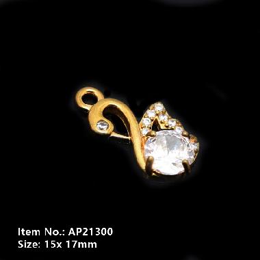Accessories AP21300