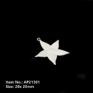 Accessories AP21501