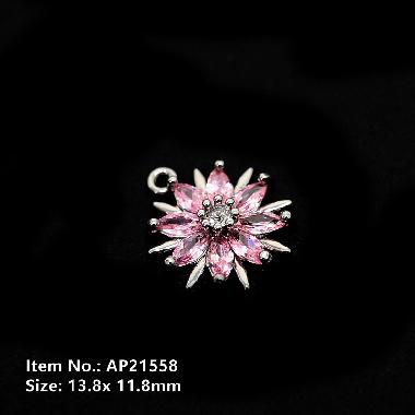 Accessories AP21558