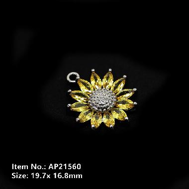 Accessories AP21560