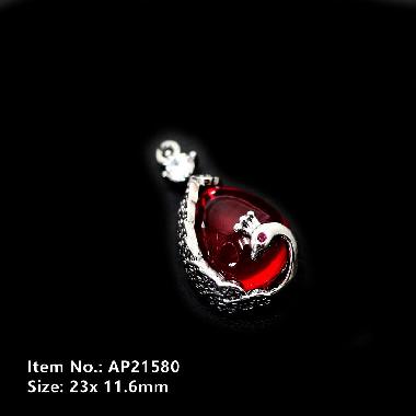Accessories AP21580