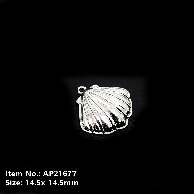 Accessories AP21677